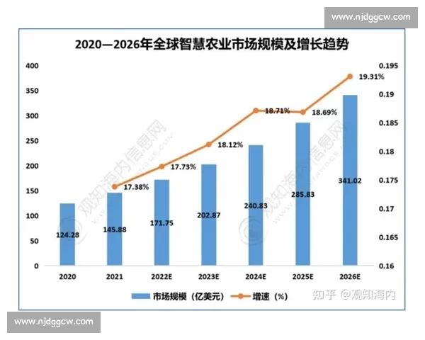 世界格局对比中国路径的竞争合作与未来走向全景解析新趋势研究观